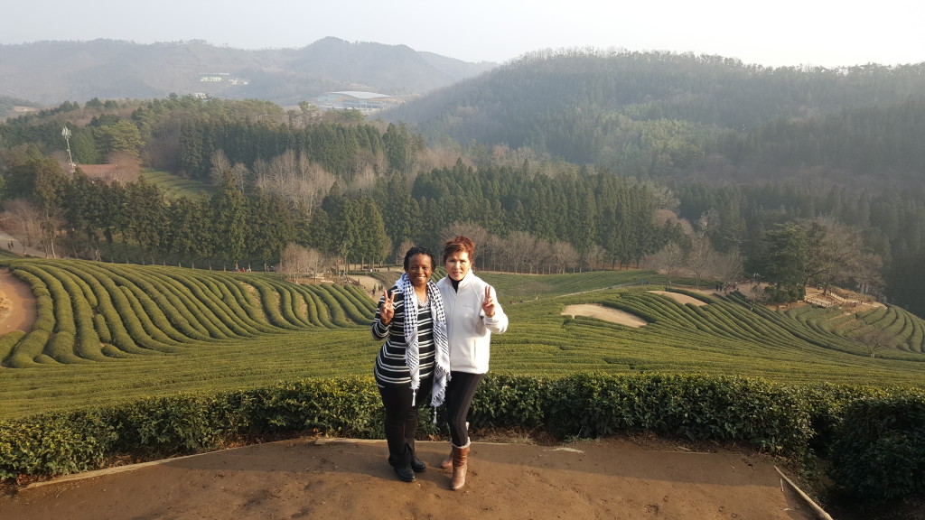 20151226_153649-1024x576 Korea's Tea Museum-- More Than Tea in Boseong