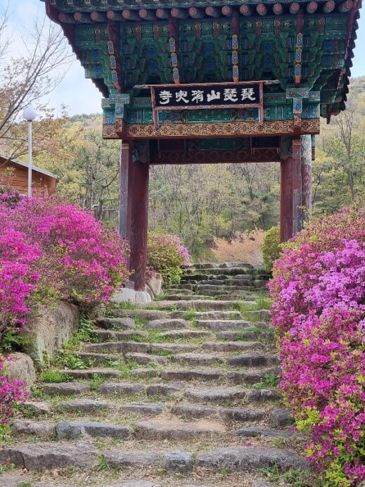 20210418_092346-519x692 Top 6 Hiking Trails in Daegu to Unleash your Inner Explorer