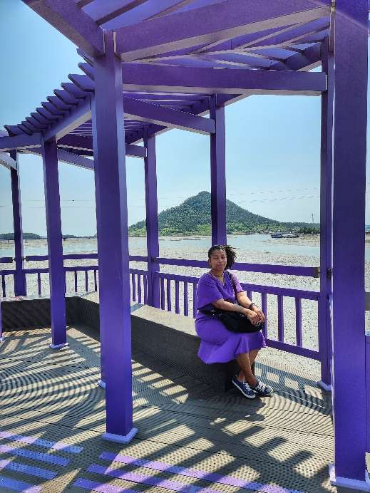 1000046261 Beyond South Korea's Purple Island: Is it Worth It?