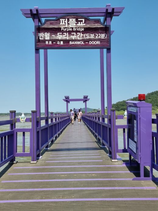 20210522_134331-519x692 Beyond South Korea's Purple Island: Is it Worth It?