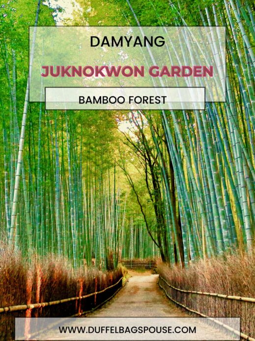 Juknokwon-Garden_20230827_090500_0000-519x692 Serenity Found: The Juknokwon Bamboo Garden in Damyang Korea