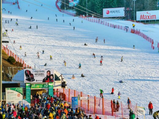 day-skiing-at-Vivaldi-Park-519x389 Embrace South Korean Winter Luxury at Sono Belle Resort