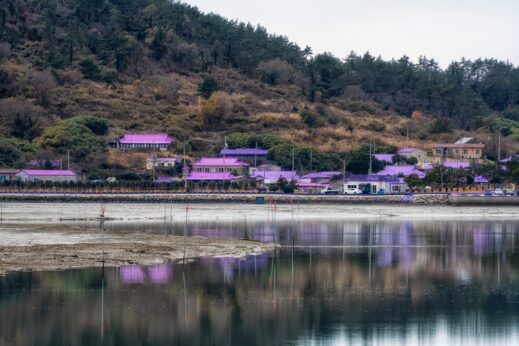 purple-village-and-reflection-on-the-waer-519x346 Beyond South Korea's Purple Island: Is it Worth It?