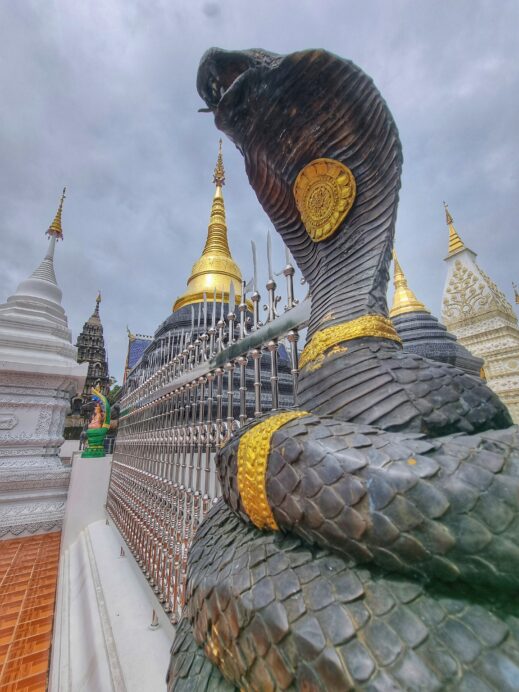 1000048278-02-519x692 Dr. Seuss Meets Wat Ban Den Temple in Chiang Mai Thailand's