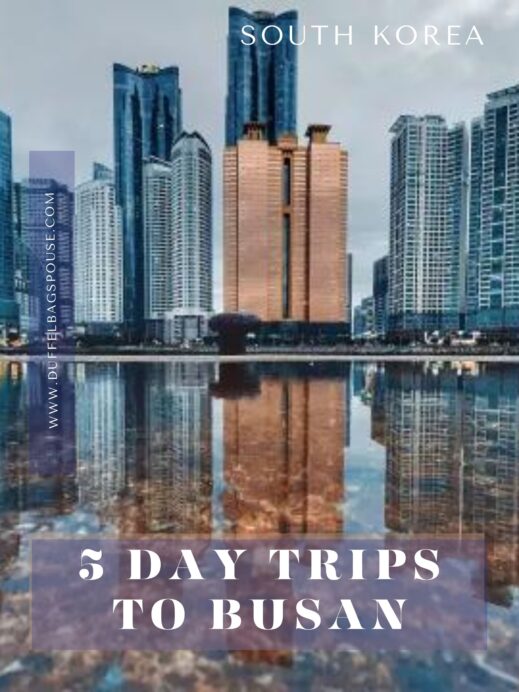 5-DAY-TRIPS-TO-BUSAN-SOUTH-KOREA-519x692 Your Perfect Day In Busan:  A Guide To 8 Remarkable Experiences in Korea