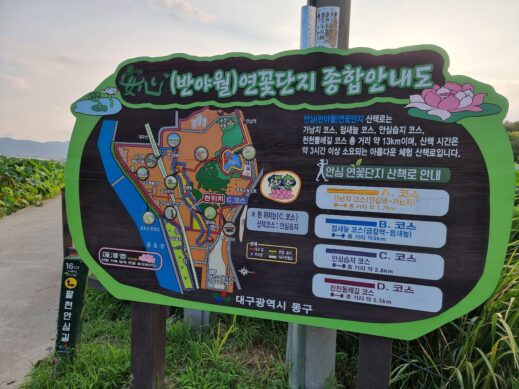 Banyawol-Lotus-Complex-garden-sign-519x389 Discovering a Little Lily Farm in Daegu: Daytripping in South Korea