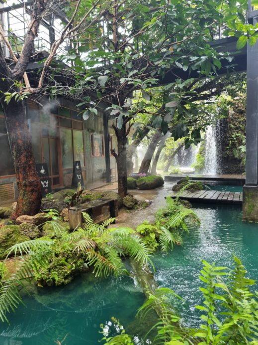 ImgResizer_20230912_2328_42724-519x692 Thailand's Dantewada Land of Angels Waterfall Park: Why You Should Go