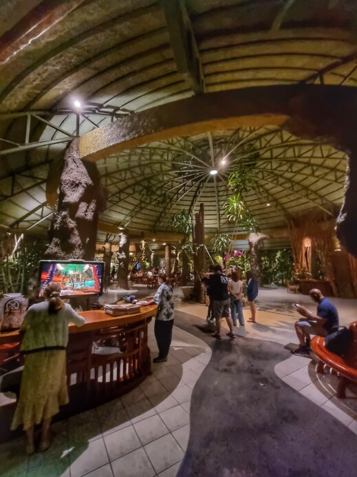 Khaomao-Khaofang-Imaginary-Jungle-ceiling-519x692 Check Out These Jungle-Themed Cafes in Chiang Mai Thailand