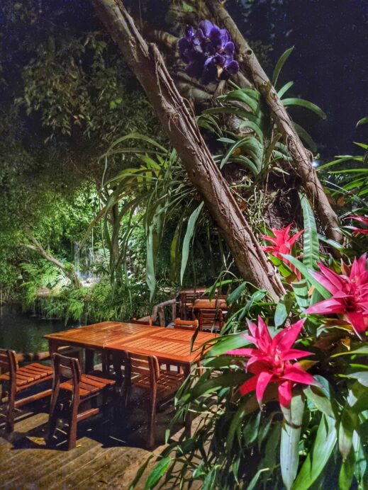Khaomao-Khaofang-Imaginary-Jungle-flowers-519x692 Check Out These Jungle-Themed Cafes in Chiang Mai Thailand