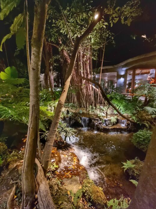 Khaomao-Khaofang-Imaginary-Jungle-litle-waterfalls-519x692 Check Out These Jungle-Themed Cafes in Chiang Mai Thailand