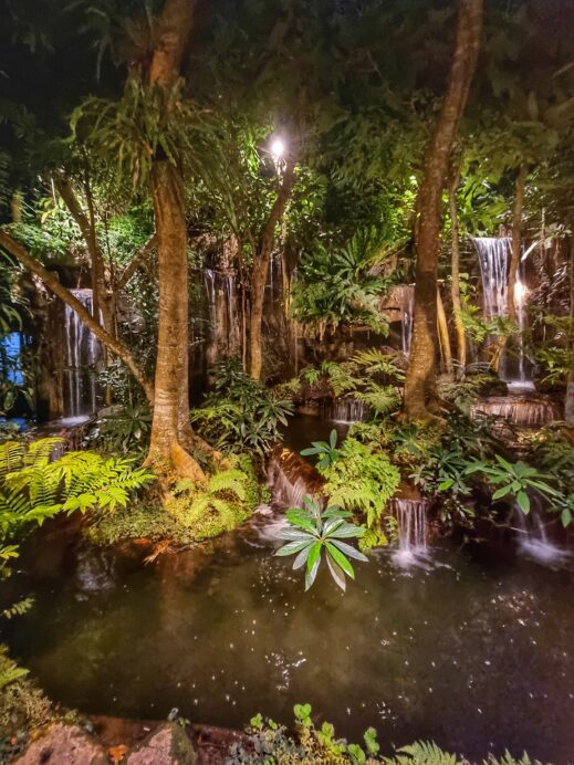 Khaomao-Khaofang-Imaginary-Jungle-pool-519x692 Check Out These Jungle-Themed Cafes in Chiang Mai Thailand