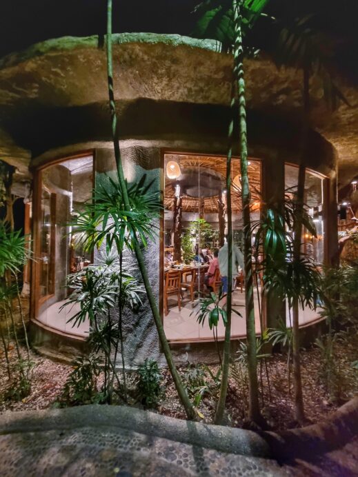 Khaomao-Khaofang-Imaginary-Jungle-seating-519x692 Check Out These Jungle-Themed Cafes in Chiang Mai Thailand