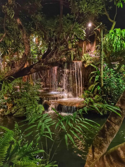 Khaomao-Khaofang-Imaginary-Jungle-tall-waterfall-519x692 Check Out These Jungle-Themed Cafes in Chiang Mai Thailand
