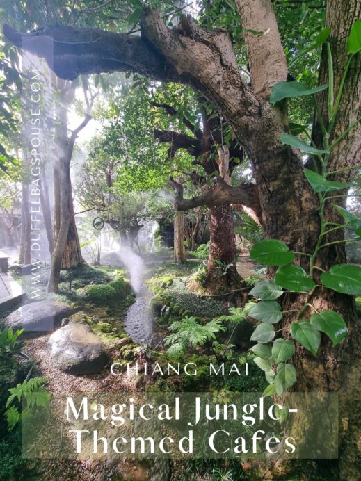 Magical-Jungle-Themed-Cafes-in-Chiang-Mai-519x692 Check Out These Jungle-Themed Cafes in Chiang Mai Thailand