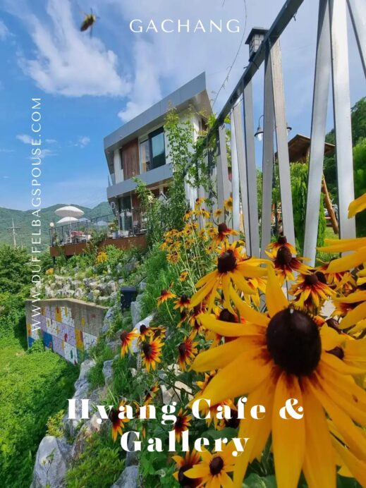 Your-Essential-Guide-to-Getting-a-Hi-Pass-1-519x692 Exploring Hyang Gallery and Cafe: A Cozy Retreat in Korea