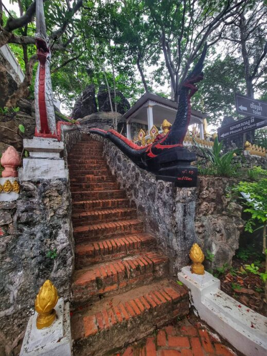 Phousi-Hill-dragon-519x692 Why You Should Climb Phousi Hill in Luang Prabang Laos