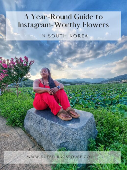 Are-You-Passionate-about-water-lillies-Explore-South-Koreas-vibrant-flower-blooming-calendar-with-this-Year-Round-Guide-to-Instagram-Worthy-Flowers-519x692 A Year-Round Guide to Instagram-Worthy Flowers in South Korea
