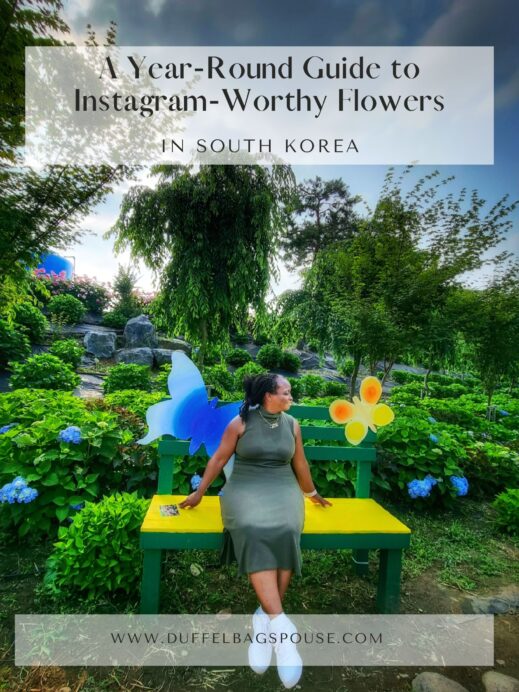 Are-you-Passionate-about-hydrangeas-Explore-South-Koreas-vibrant-flower-blooming-calendar-with-this-Year-Round-Guide-to-Instagram-Worthy-Flowers-519x692 A Year-Round Guide to Instagram-Worthy Flowers in South Korea