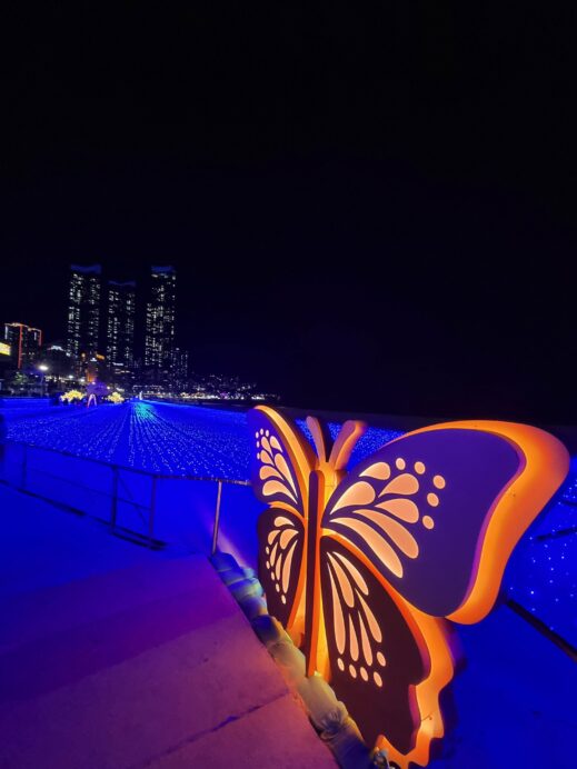 Butterfly-on-Haeundae-Beach-519x692 Christmas in South Korea-- 6 Amazing Places to Celebrate the Holidays